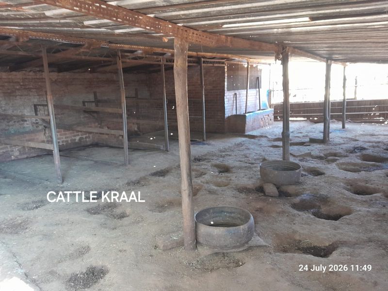 A functional cattle kraal featuring a corrugated metal roof supported by timber posts and brick walling, suitable for livestock management.