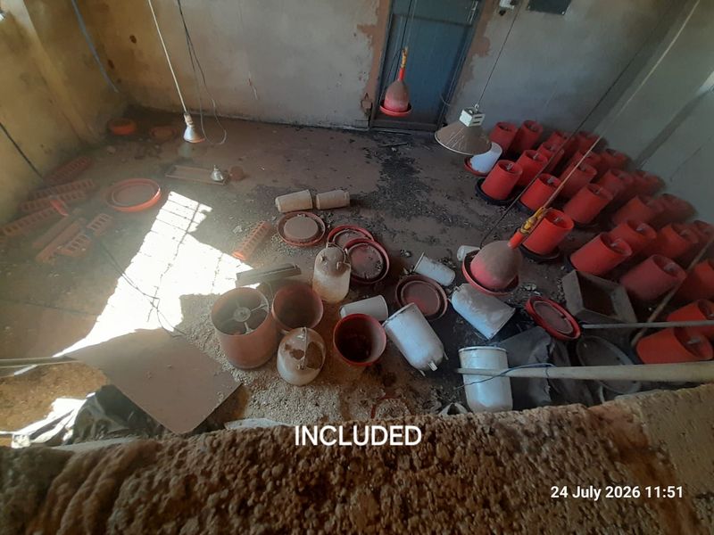 A utility space on the farm currently used for poultry infrastructure, featuring hanging heat lamps and feeding equipment in a basic shell condition.