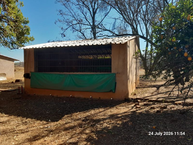 A small, functional utility structure or animal enclosure featuring plastered masonry walls, a corrugated metal roof, and wire mesh ventilation.