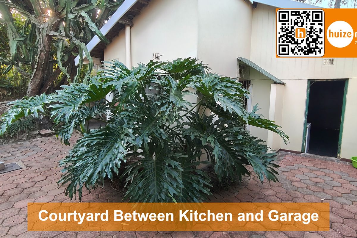 A paved courtyard area situated between the kitchen and garage, featuring established landscaping and direct access to the building.