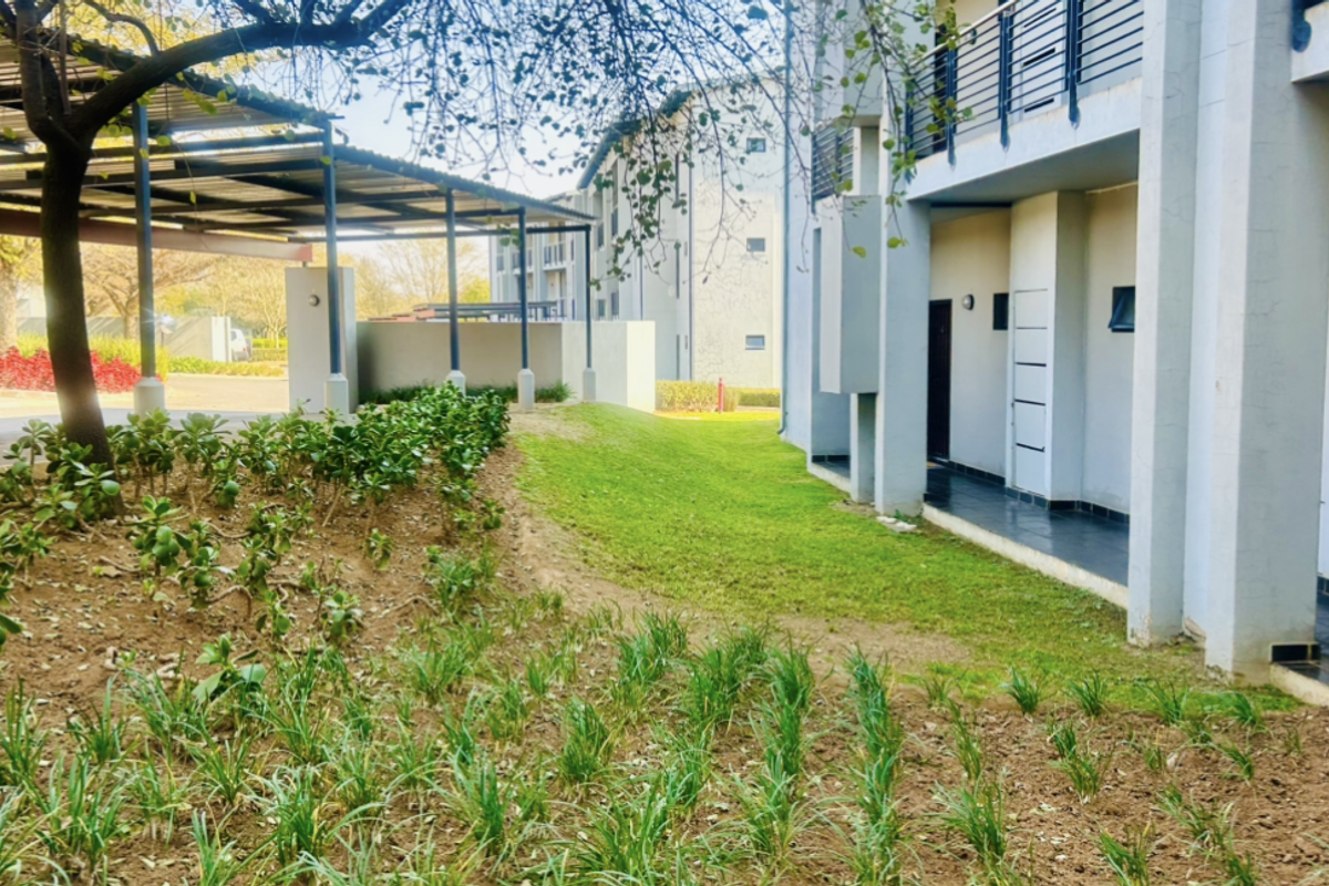 A view of the apartment complex exterior featuring a landscaped garden, covered walkways, and paved patio areas.