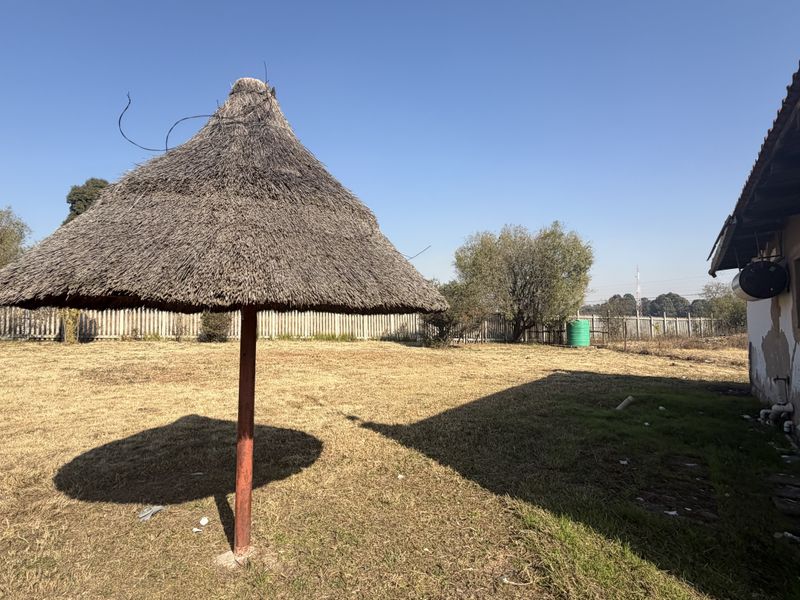 Agricultural Smallholding with Warehouse – Benoni AH - Photo 10