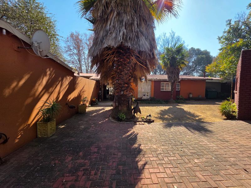 A rear exterior view of the property featuring a paved courtyard area, mature palm tree, and brick boundary wall.