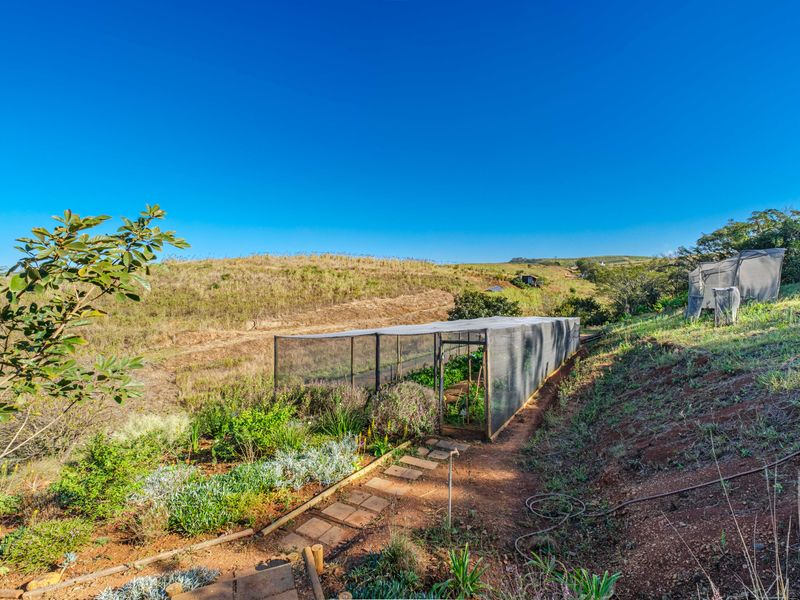 Secure Farm Living on 2 Hectares of well established land! - Photo 3