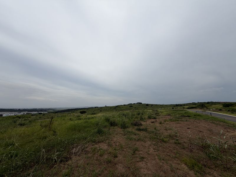 A wide-angle view of an undeveloped plot of land with natural vegetation and a nearby paved road under an overcast sky.
