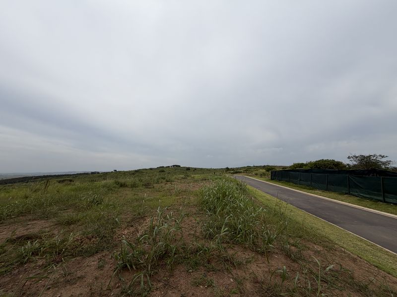 A view of an asphalt road winding through an undeveloped plot of land with natural grass and perimeter fencing.