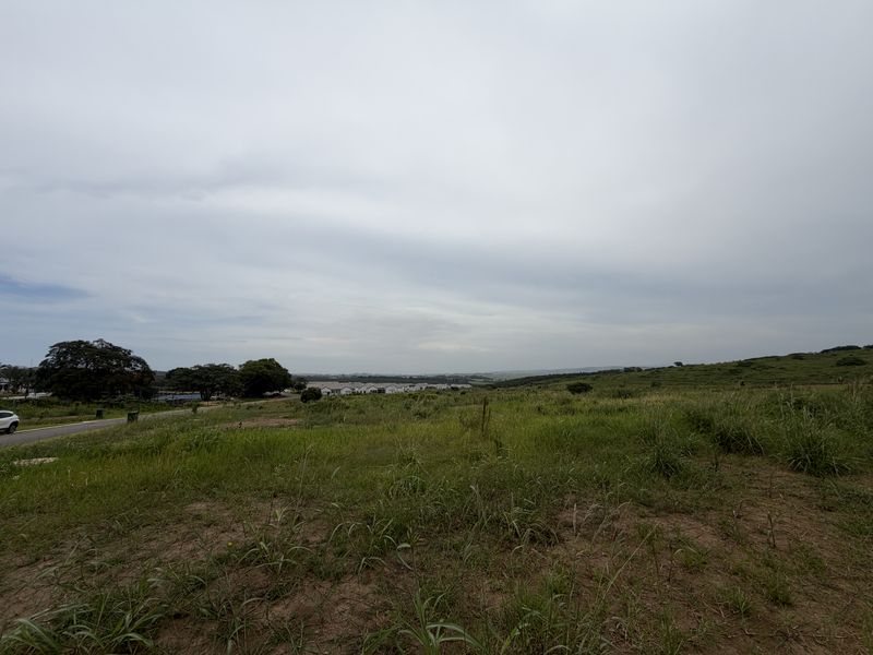 A wide-angle view of an undeveloped grassy landscape with distant residential housing and rolling hills under an overcast sky.