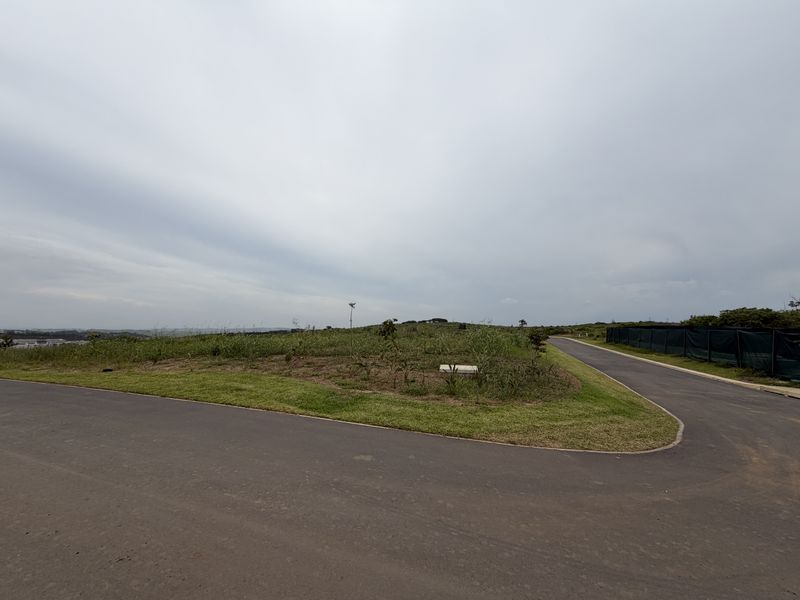 A view of a paved road corner and adjacent undeveloped land within a residential estate.