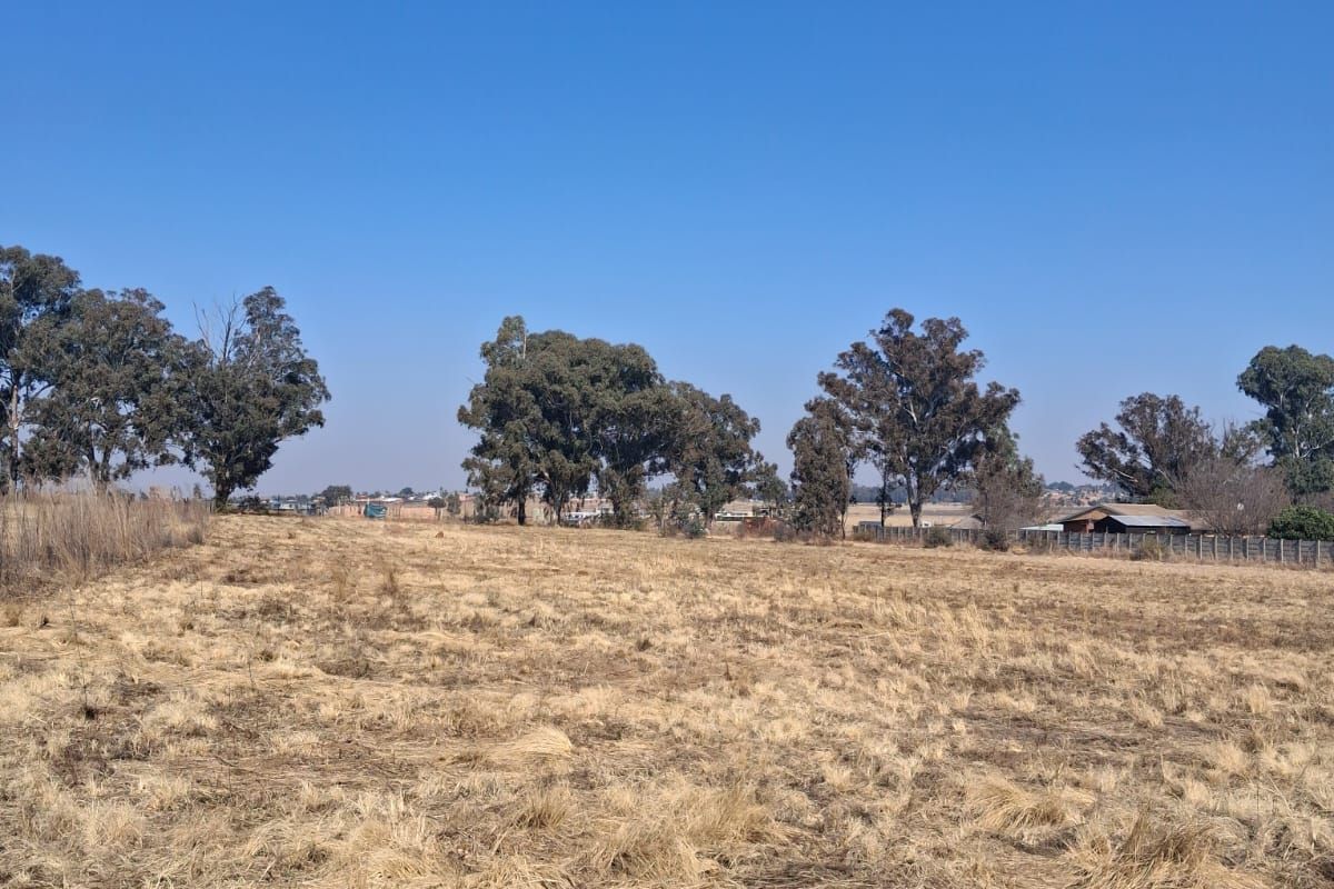 A wide-angle view of a vacant residential plot featuring dry grass, mature trees, and perimeter fencing under a clear blue sky.