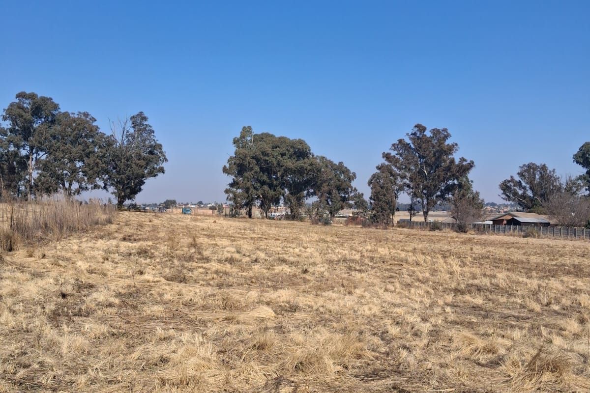 A wide-angle view of a vacant residential plot featuring dry grass, mature trees, and perimeter fencing under a clear blue sky.