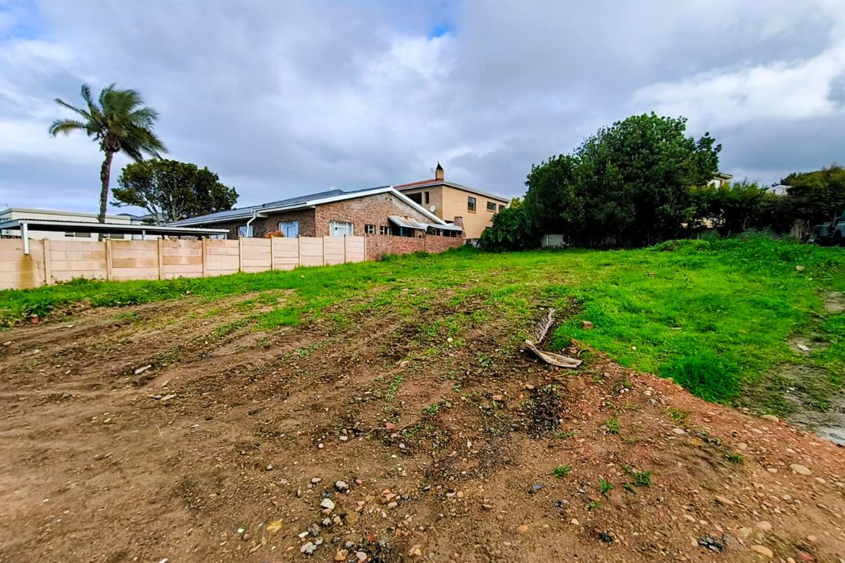 A vacant residential plot featuring a cleared landscape, mature trees, and a precast concrete boundary wall, ready for development.