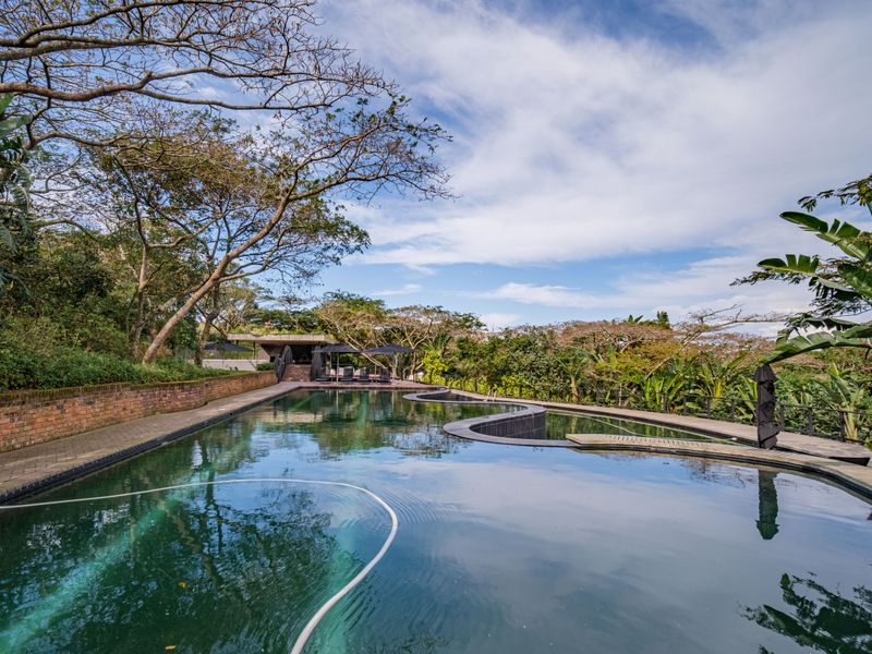 A large, free-form swimming pool set within a lush, landscaped garden featuring a brick retaining wall and paved surround.