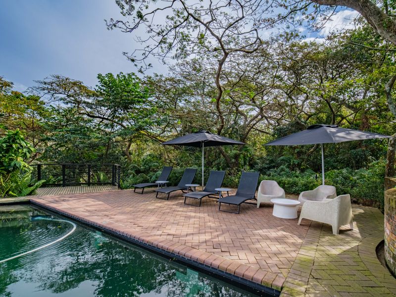 A tranquil outdoor pool area featuring a brick-paved deck, timber decking, and a natural forest backdrop.