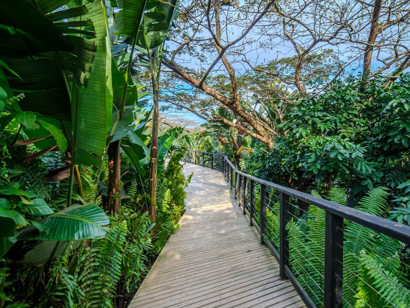 A well-maintained timber boardwalk with metal balustrades winding through a lush, mature garden setting.