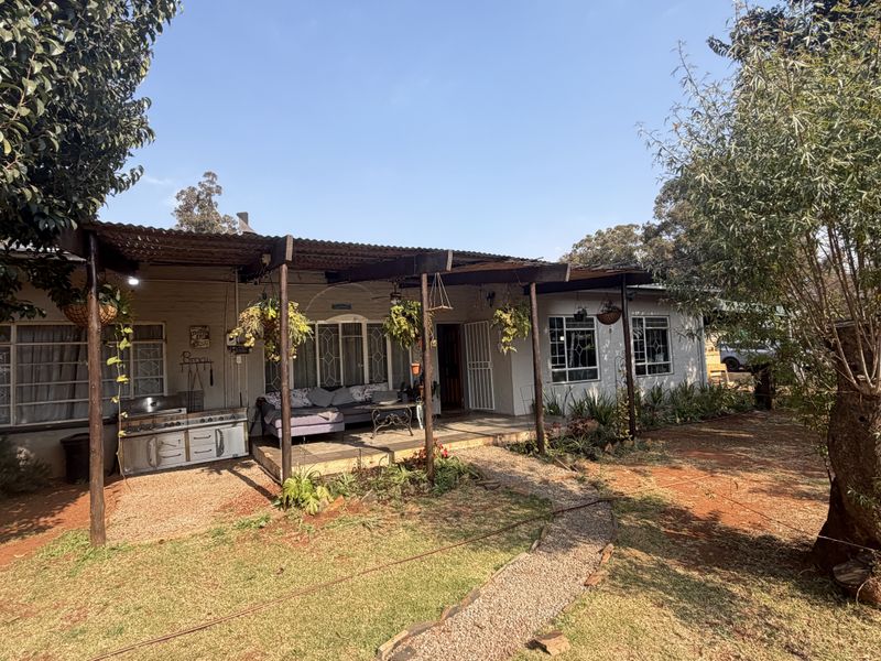 A covered outdoor patio area featuring a corrugated iron roof, timber support beams, and direct access to the garden through a security gate.