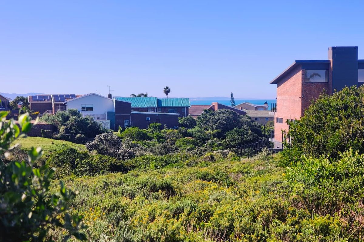 A scenic view overlooking a coastal residential area with natural vegetation in the foreground and distant ocean views.