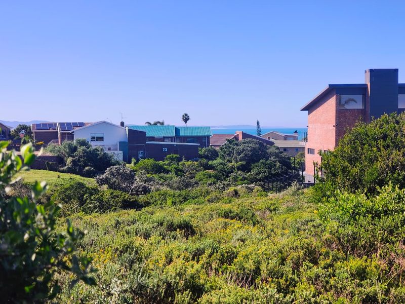 A scenic view overlooking a coastal residential area with natural vegetation in the foreground and distant ocean views.
