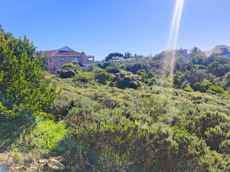 A view of a vacant residential plot featuring sloped terrain covered in native vegetation, situated in a established neighborhood setting.