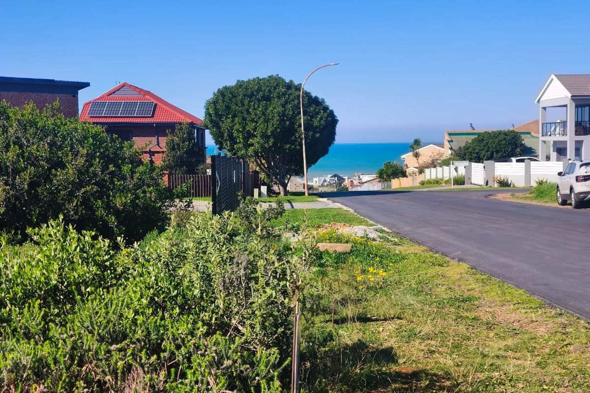 A street view of a residential neighborhood featuring paved roads, established landscaping, and a distant ocean view.
