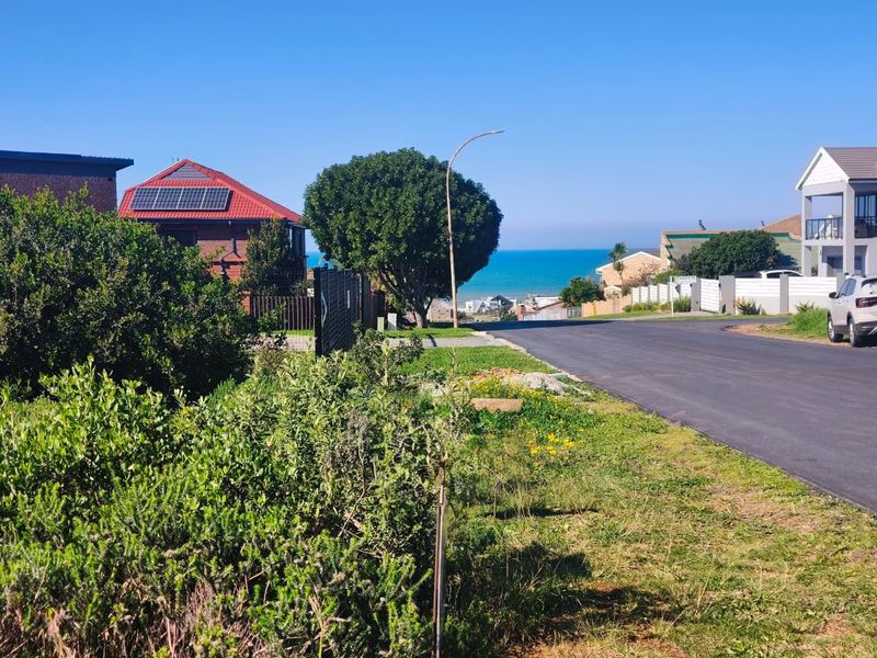 A street view of a residential neighborhood featuring paved roads, established landscaping, and a distant ocean view.