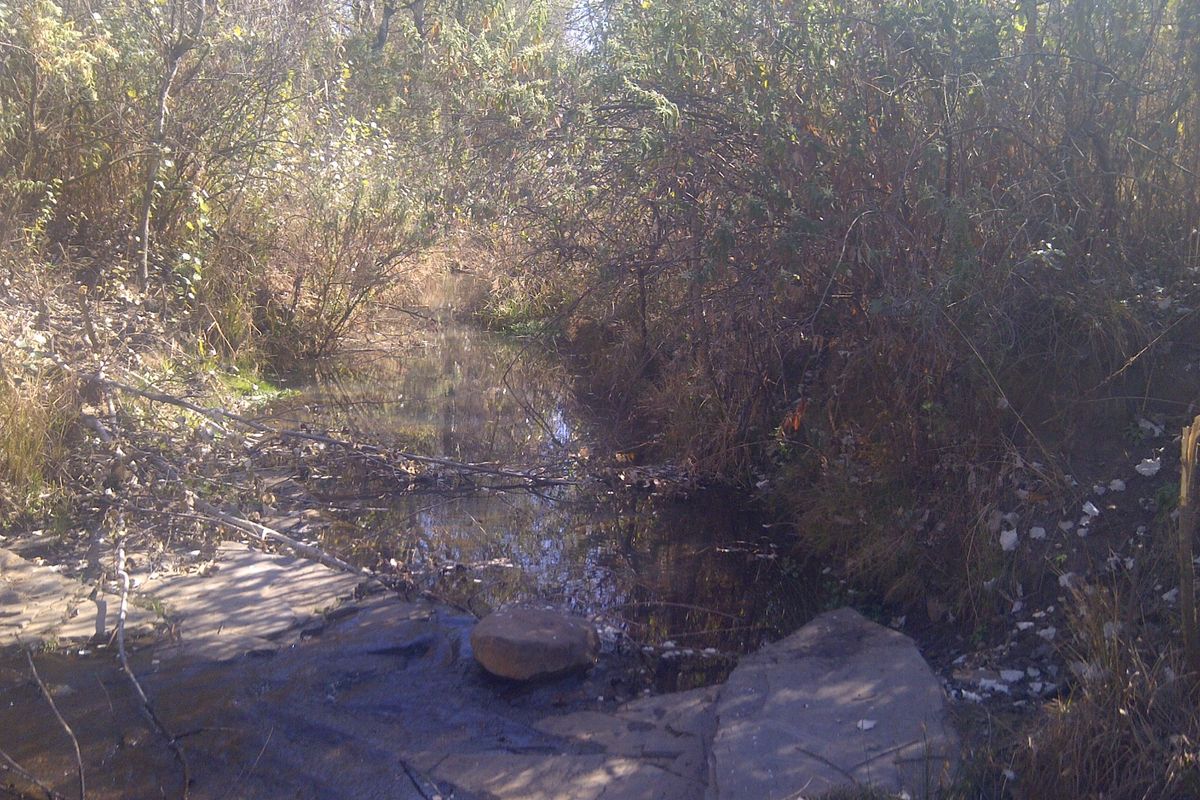 A natural stream flowing through a wooded area on the farm property, featuring a rocky creek bed and dense surrounding vegetation.