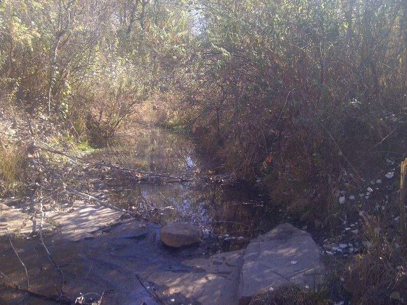 A natural stream flowing through a wooded area on the farm property, featuring a rocky creek bed and dense surrounding vegetation.