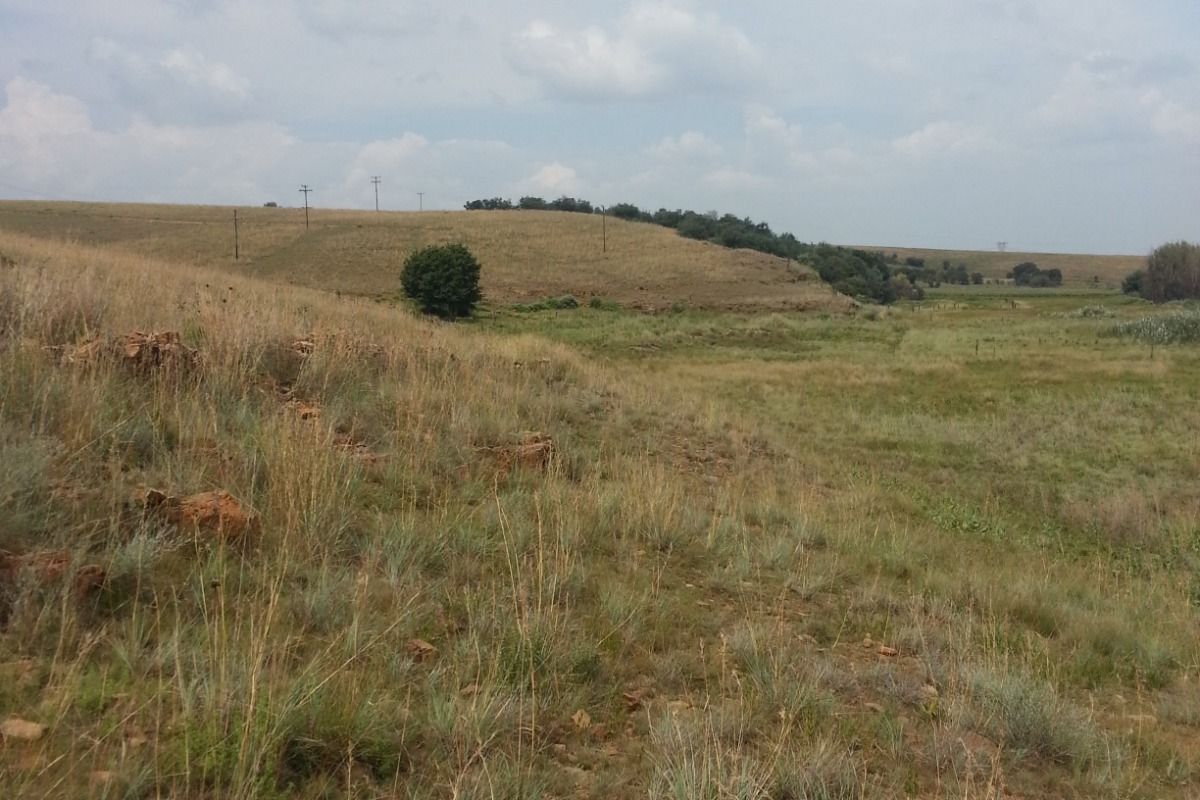 A scenic view of the expansive, rolling grassland and natural landscape characteristic of the farm property.