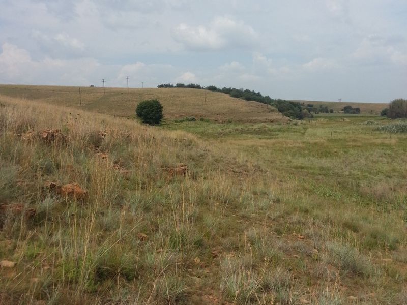 A scenic view of the expansive, rolling grassland and natural landscape characteristic of the farm property.