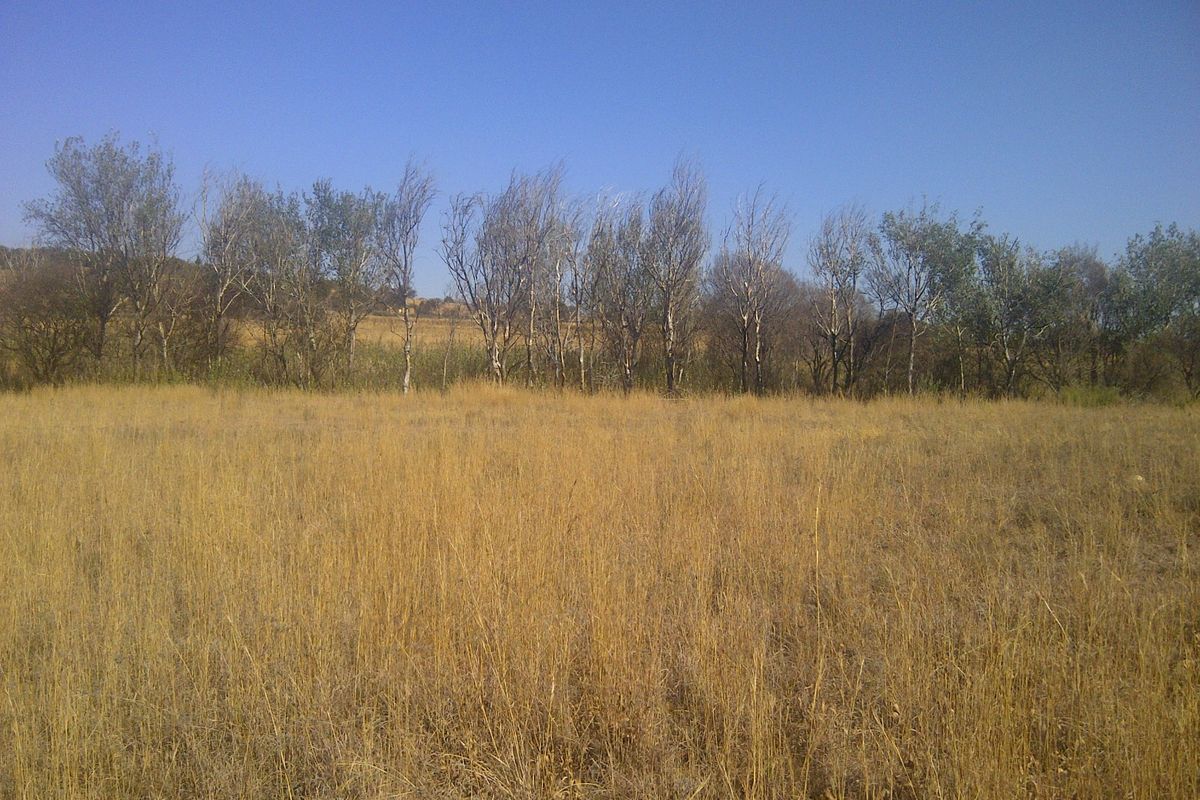 An expansive open field on the farm property featuring dry grass and a line of mature trees in the background.