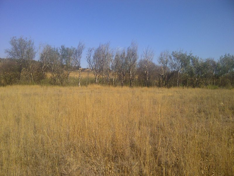 An expansive open field on the farm property featuring dry grass and a line of mature trees in the background.