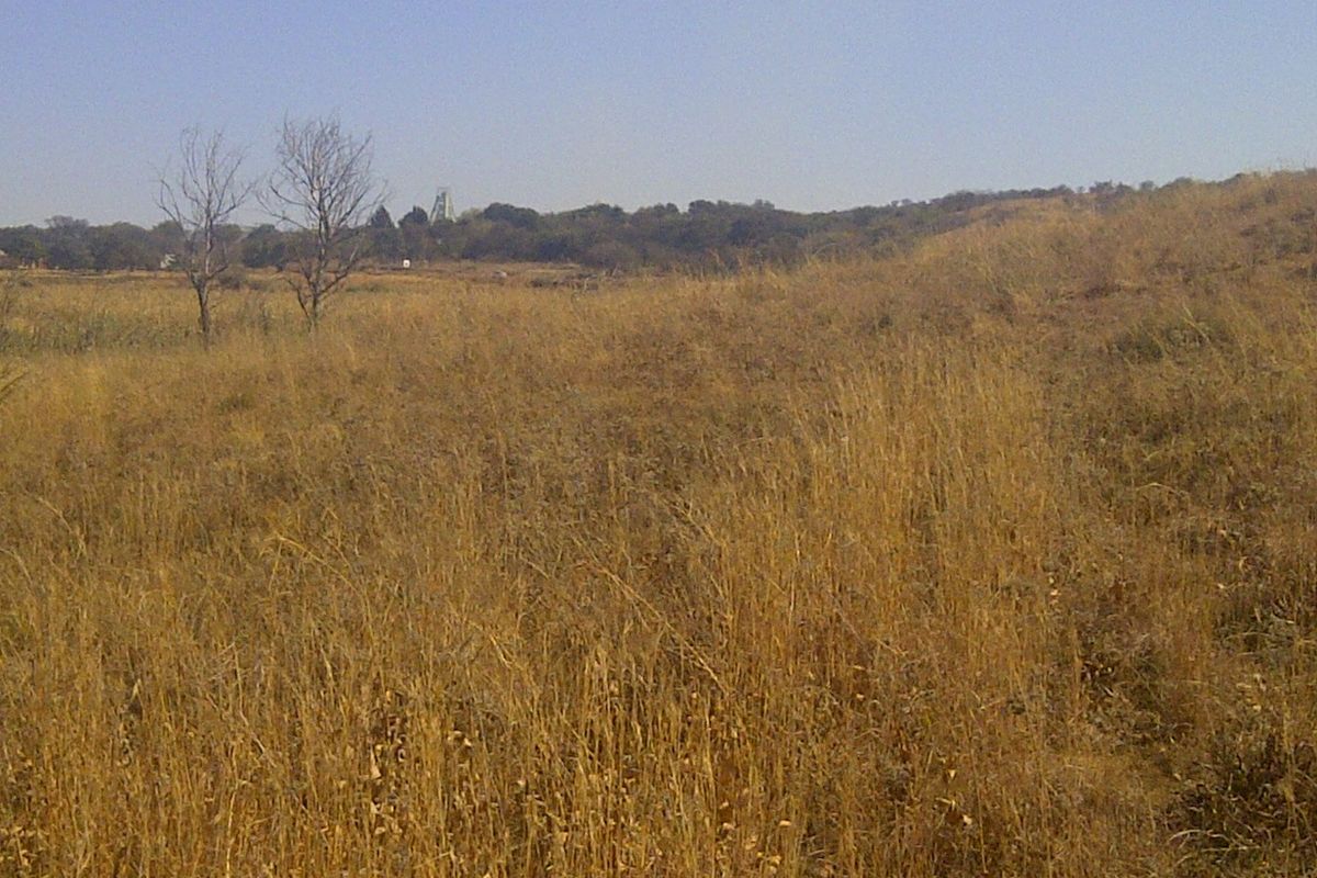 A wide-angle view of the open farm landscape featuring dry grass fields and distant trees under a clear sky.
