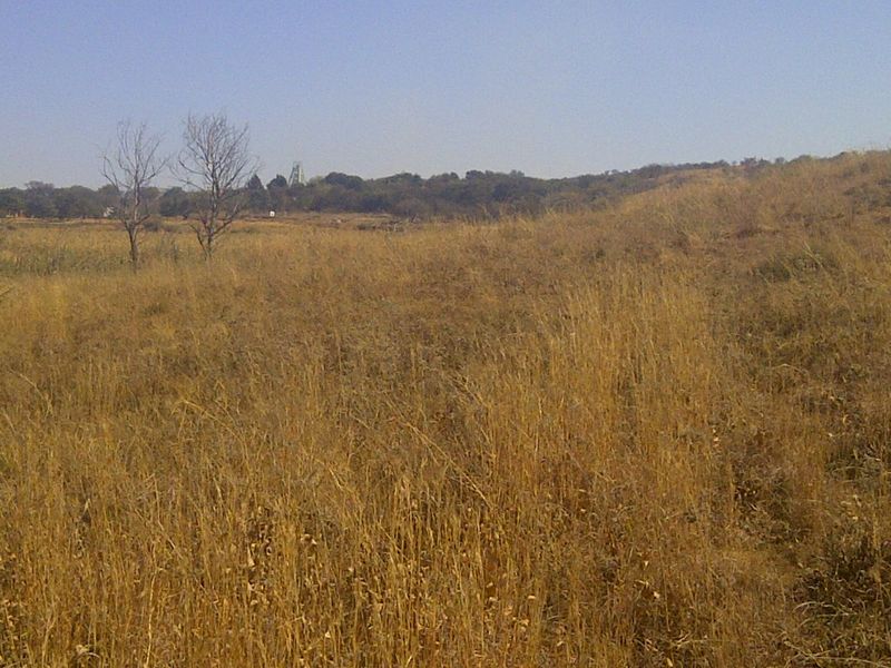 A wide-angle view of the open farm landscape featuring dry grass fields and distant trees under a clear sky.