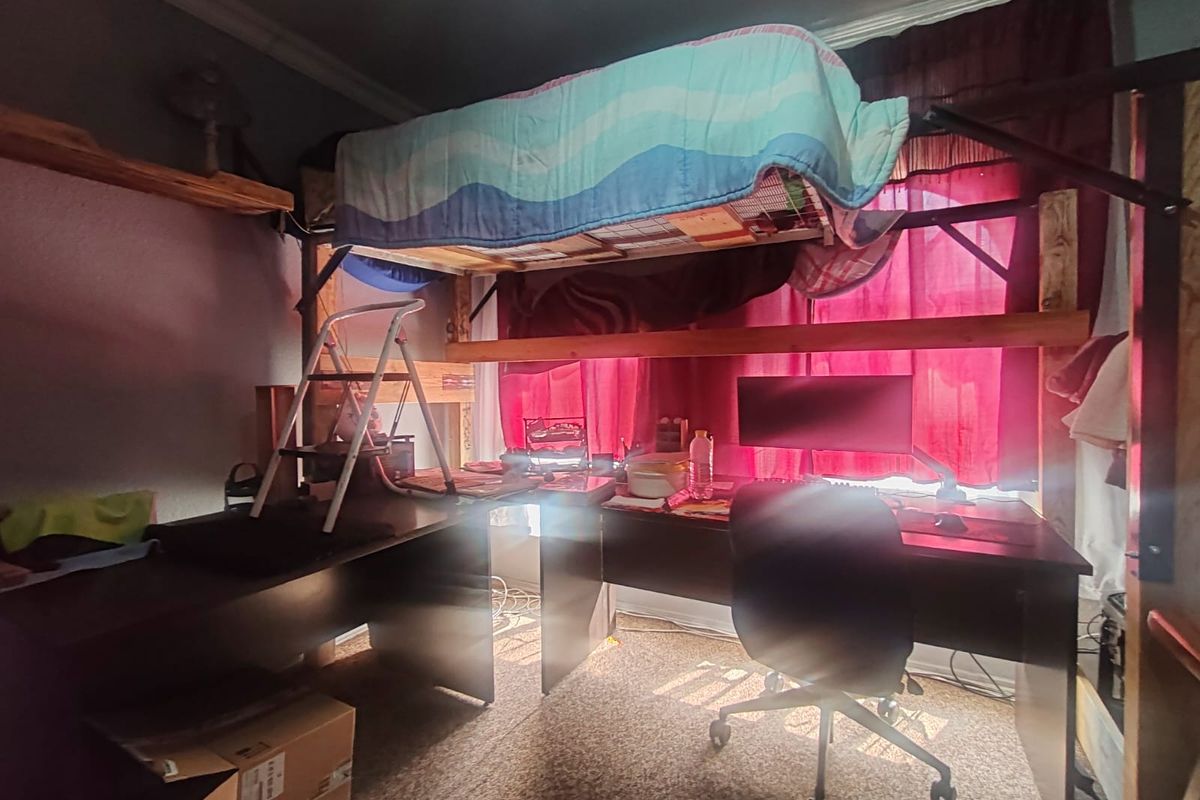 A bedroom featuring a custom built-in loft bed frame and crown molding, currently utilized as a workspace.