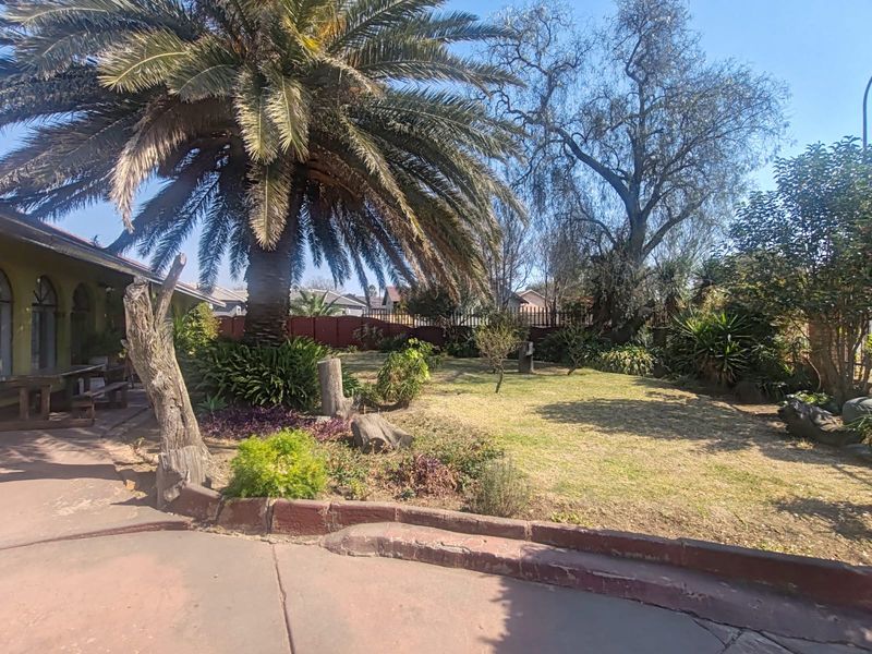A spacious rear garden featuring a large palm tree, mature landscaping, and a concrete patio area.