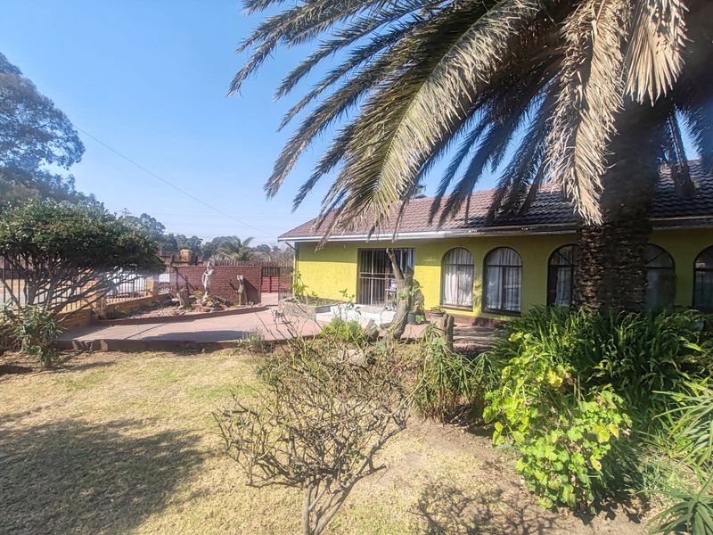 Rear view of the property featuring a paved patio area, arched windows, and a mature garden with established palm tree.