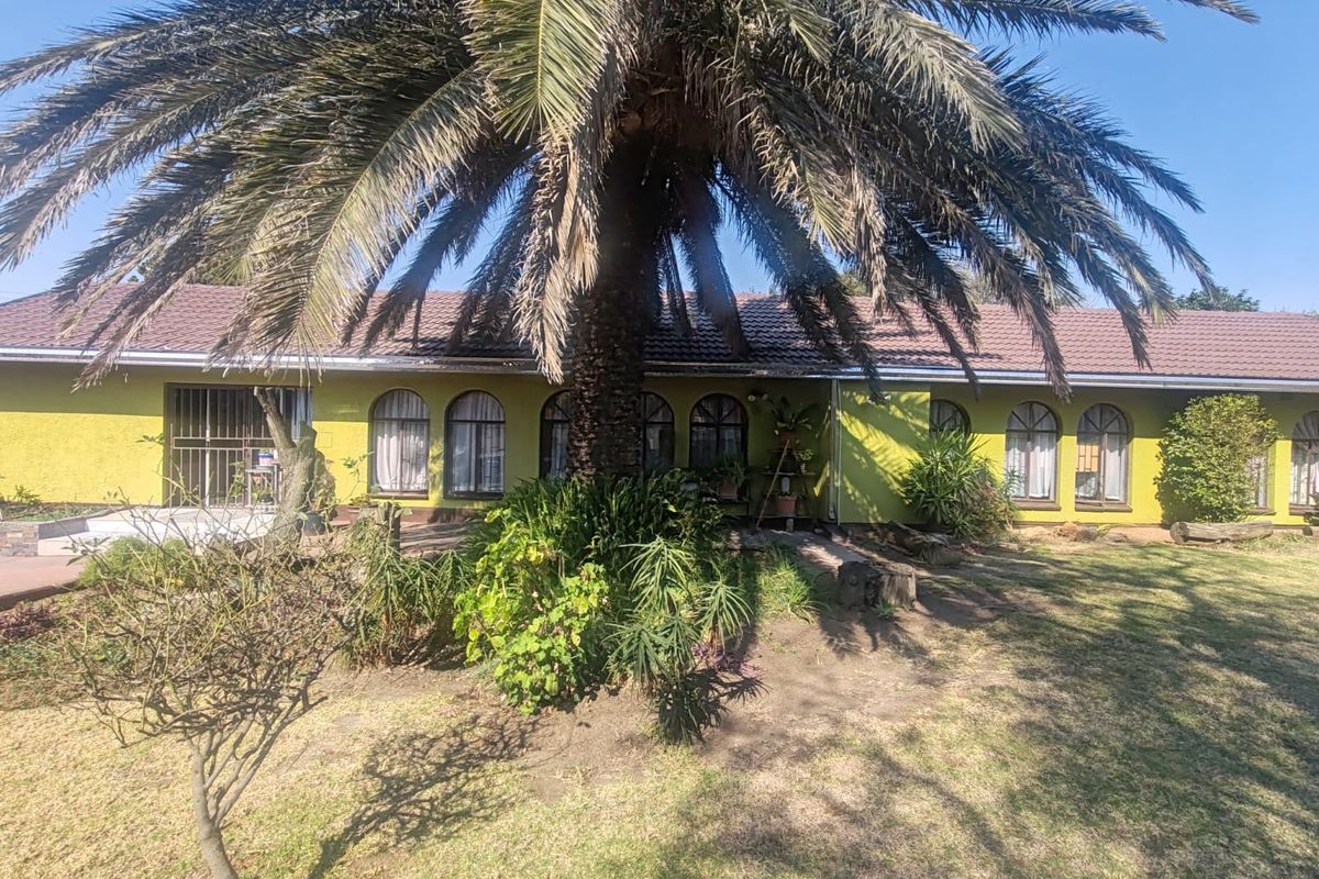 Rear view of a single-story house featuring a tiled roof, arched windows, and a large mature palm tree in the garden.