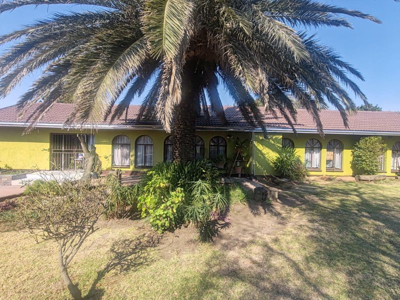 Rear view of a single-story house featuring a tiled roof, arched windows, and a large mature palm tree in the garden.
