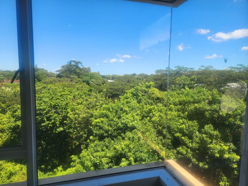 A clear view of lush green trees and foliage captured through a large glass window in an apartment.