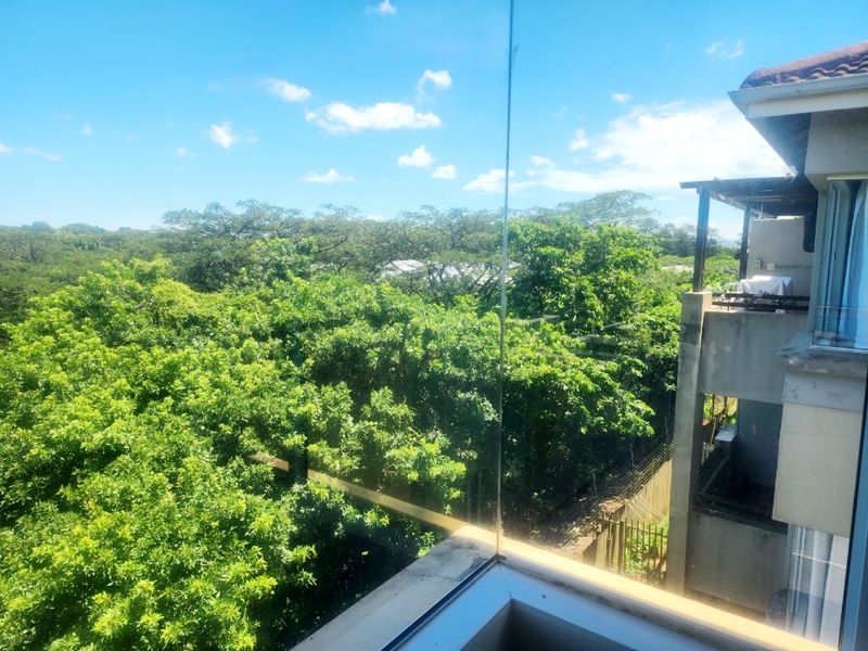 A scenic elevated view overlooking lush green trees and surrounding residential architecture, captured from a balcony with a modern glass balustrade.