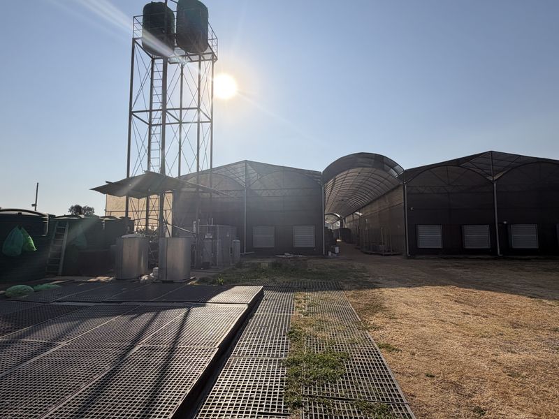 Exterior view of the small holding featuring large greenhouse structures, water storage tanks on a steel tower, and industrial drainage systems.