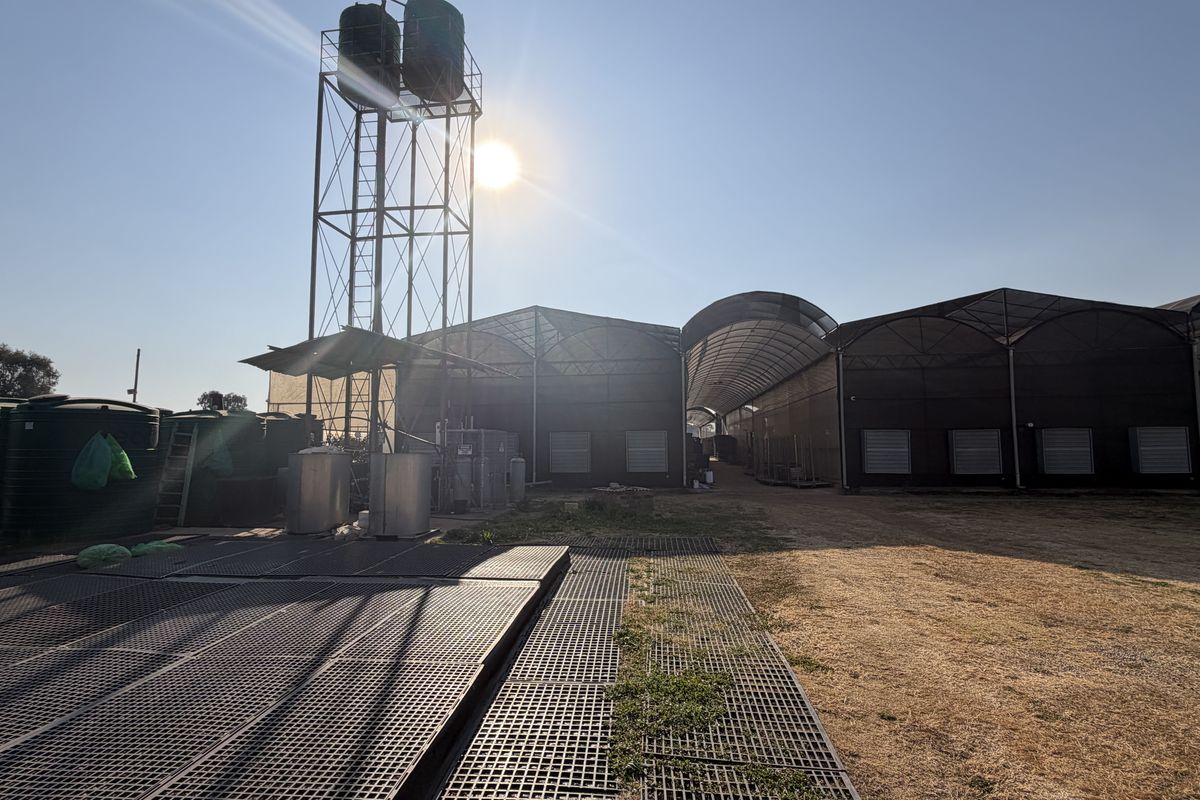 Exterior view of the small holding featuring large greenhouse structures, water storage tanks on a steel tower, and industrial drainage systems.