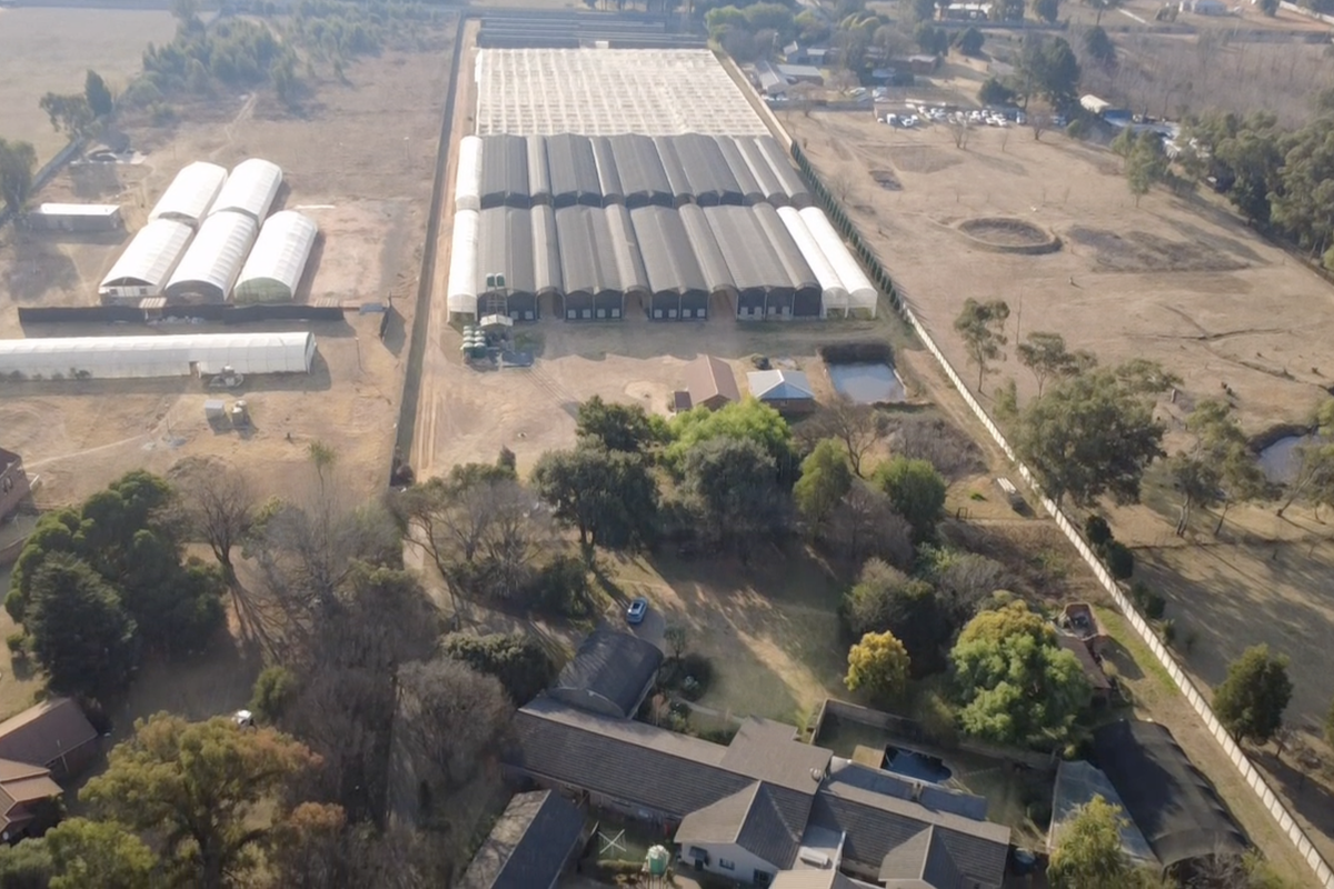 Aerial view of a small holding property featuring extensive greenhouse infrastructure, residential dwellings, a swimming pool, and surrounding landscaped grounds.