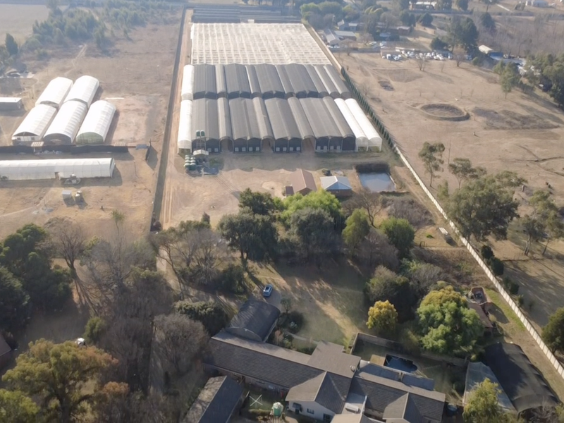 Aerial view of a small holding property featuring extensive greenhouse infrastructure, residential dwellings, a swimming pool, and surrounding landscaped grounds.
