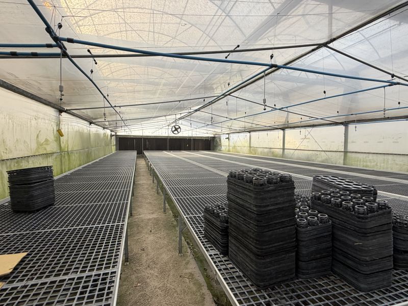A functional greenhouse or poly-tunnel structure featuring raised cultivation benches, an integrated irrigation system, and ventilation, suitable for agricultural or nursery operations.