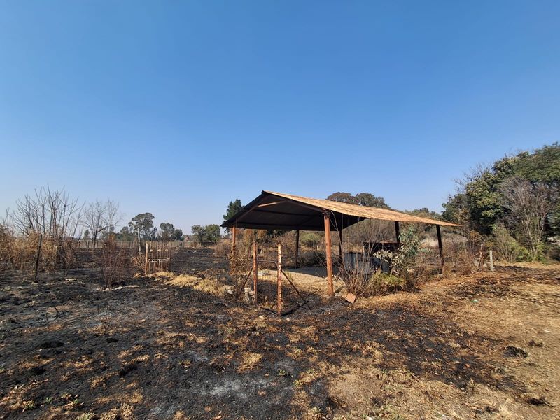 An outdoor area featuring a simple open-sided shelter with a corrugated metal roof, situated on land showing signs of recent fire damage.