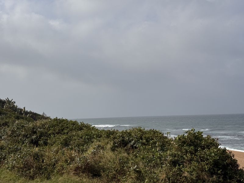 A scenic coastal view overlooking the ocean and natural vegetation.
