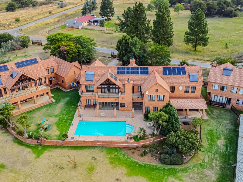 Equestrian Mansion - Photo 3