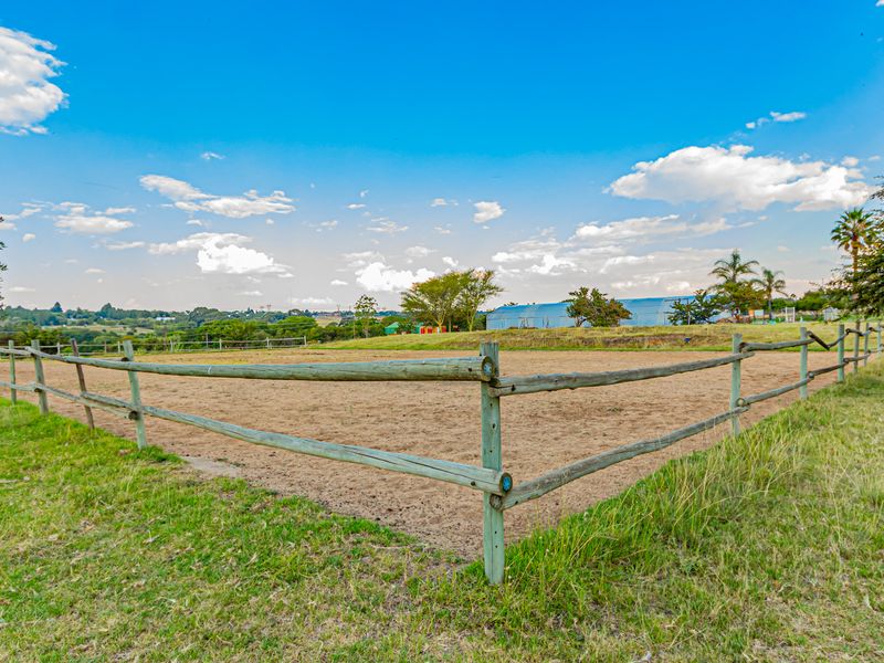 Equestrian Mansion - Photo 8