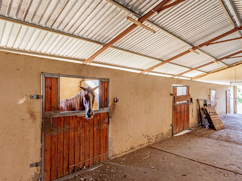 Equestrian Mansion - Photo 7