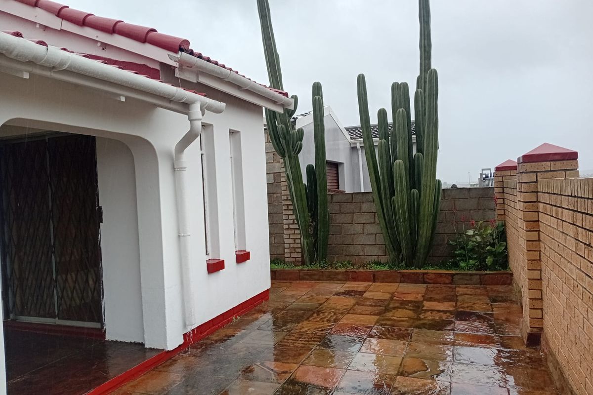 A paved rear patio area featuring a brick boundary wall and established cactus plants, adjacent to the main house structure.